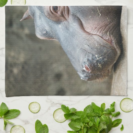 Hippopotamus handdoeken (Gevouwen)