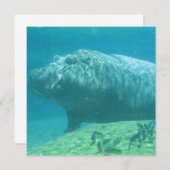 Hippopotamus Kaart (Voorkant / Achterkant)