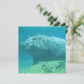 Hippopotamus Kaart (Staand voorkant)
