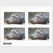 Hippopotamus stickers (Vel)