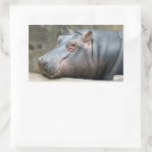 Hippopotamus stickers (Tas)