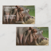 Hippopotamus Visitekaartje (Voorkant / Achterkant)