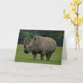 Hippopotamus wenskaart kaart (Gele Bloem)