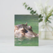 Hippopotamus zwemt op het oppervlak briefkaart (Staand voorkant)