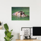 Hippopotamus zwemt op het oppervlak poster (Thuiskantoor)