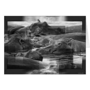 Hippopotamusese Kaart