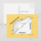 HIPPOPOTENUSE briefkaart: Sandra Boynton Briefkaart (Voorkant / Achterkant)