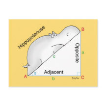 HIPPOPOTENUSE briefkaart: Sandra Boynton