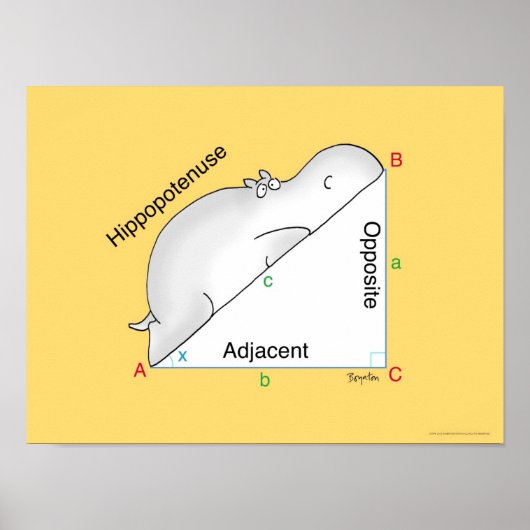 HIPPOPOTENUSE poster: Sandra Boynton Poster (Voorkant)