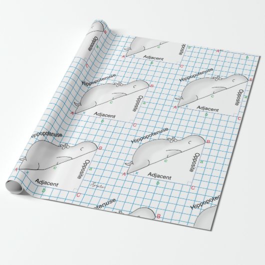 HIPPOPOTENUSE: Sandra Boynton Cadeaupapier (Uitgerold)