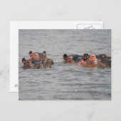 Hippos Briefkaart (Voorkant / Achterkant)