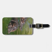 Hippos zwemmen in een hond, bagagelabel (Voorkant horizontaal)