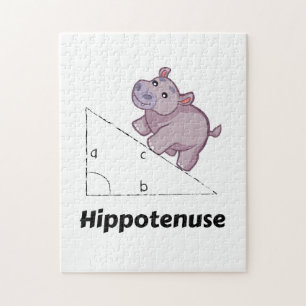 Hippotenuse Funny Wiskunde Legpuzzel