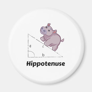 Hippotenuse Funny Wiskunde Magneet