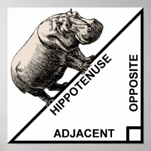 Hippotus Hypotenusa Grappige Wiskunde Geometrie Po Poster