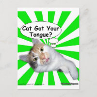 Hippy Kitty Cat Got Your Tongue?