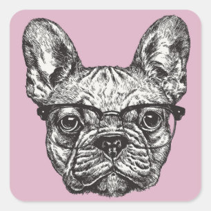 Hipster Bulldog Vierkante Sticker