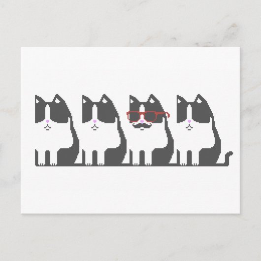 Hipster Cat houdt Pixel Art Briefkaart tegen (Voorkant)