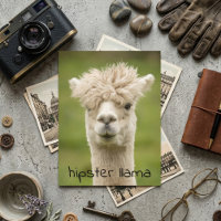 Hipster Lama Grappige Kapsel