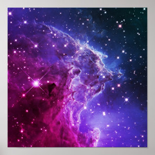 Hipster Paarse Ombre Apenkopnevel Poster