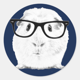 Hipster Pigster Ronde Sticker