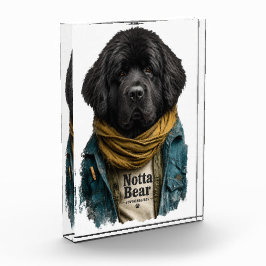 Hipster Stedelijke Newf – Notta Bear Stijl Fotoblokken