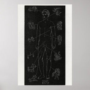 Hiram Eratus Butler - Poster de biologie solaire