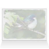 Hirondelle d'arbre - Carte d'art de 5 po x 7 po (Intérieur Horizontal (Haut))