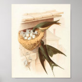 Hirondelle de cheminée (1882) Affiche d'art imprim (Devant)