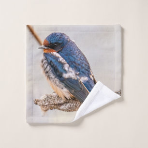 Hirondelle de grange : Avian canadien