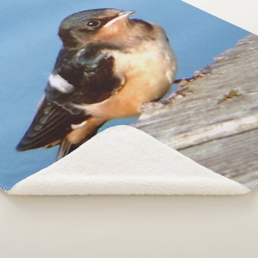 Hirondelle de grange couverture sherpa (3/4)