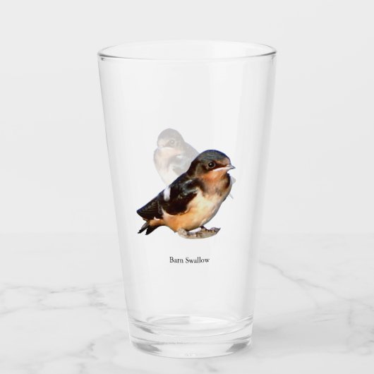 Hirondelle rustique buvant dans un verre (Devant)