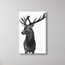 Hirsch Canvas Afdruk