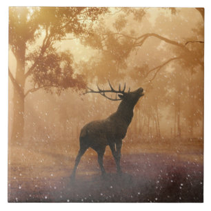 Hirsch prachtige natuur tegeltje