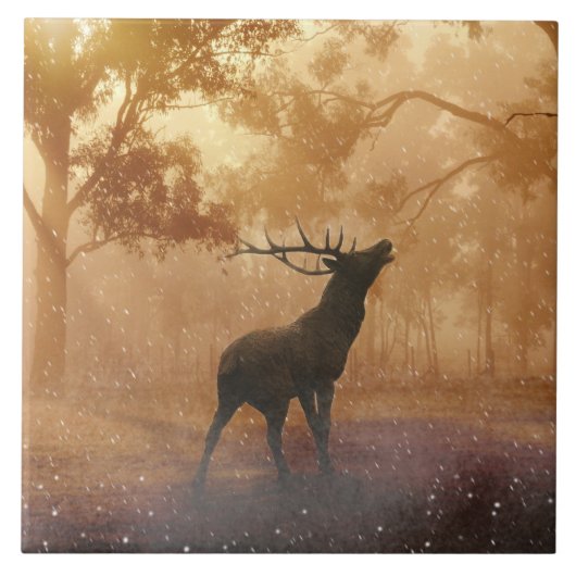 Hirsch prachtige natuur tegeltje (Voorkant)