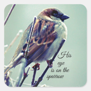 HIs oog staat op de Sparrow Vierkante Sticker