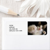 HISSABLE KISSABLE KITTY ÉTIQUETTE (En situation)