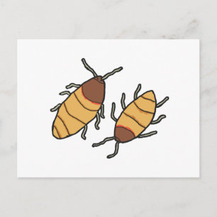 Hissing Cockroach Briefkaart