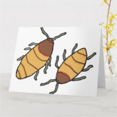 Hissing Cockroach Kaart (Gele Bloem)