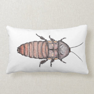 Hissing Cockroach Pillow Kussen