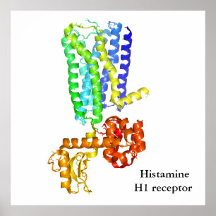 Histaminereceptor Poster