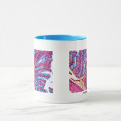 histo klasse mok (Midden)