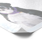Histoire avec Poster de Chien de Scuba (Coin)