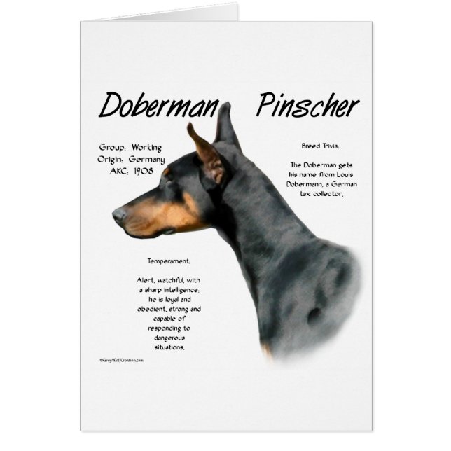 Histoire de Doberman Pinscher noir (Devant)