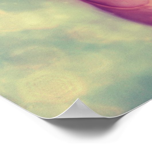 Histoire de la faune de ballet - Poster (Coin)