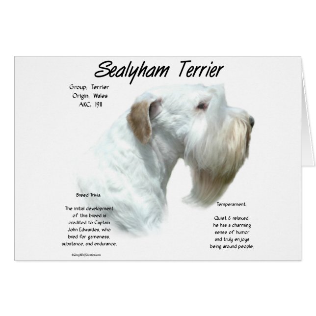 Histoire de Sealyham Terrier (Devant horizontal)