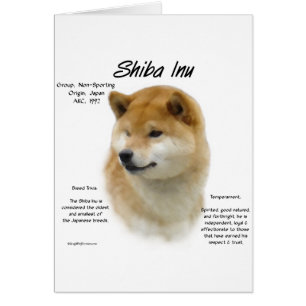 Histoire de Shiba Inu