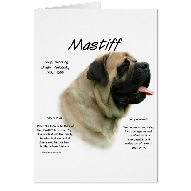 Histoire des mastiff (Devant)