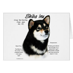 Histoire du Shiba Inu noir