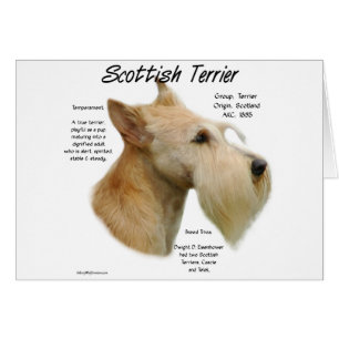 Histoire écossaise à Wheaten